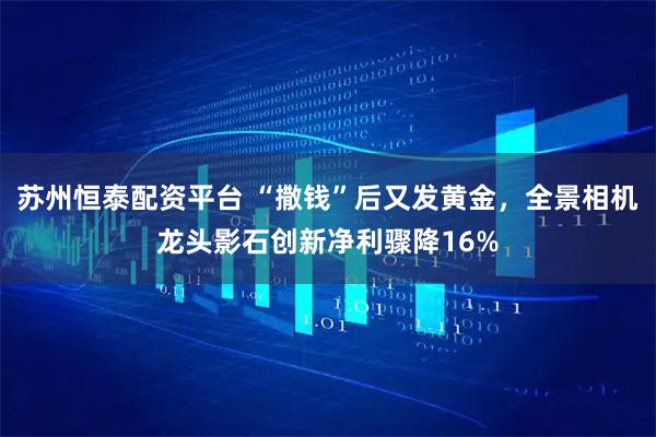 苏州恒泰配资平台 “撒钱”后又发黄金，全景相机龙头影石创新净利骤降16%